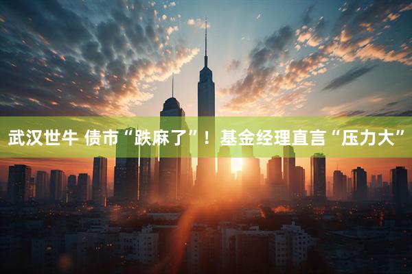 武汉世牛 债市“跌麻了”！基金经理直言“压力大”