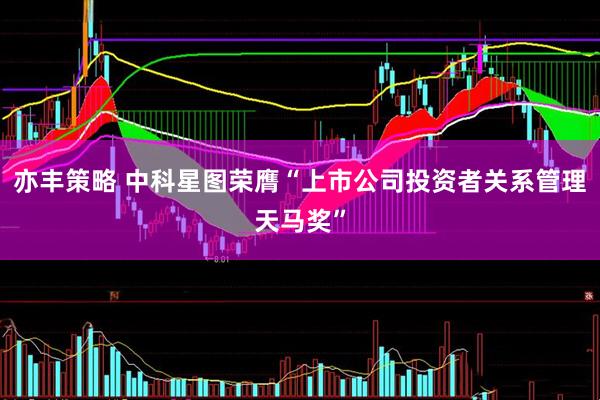 亦丰策略 中科星图荣膺“上市公司投资者关系管理天马奖”